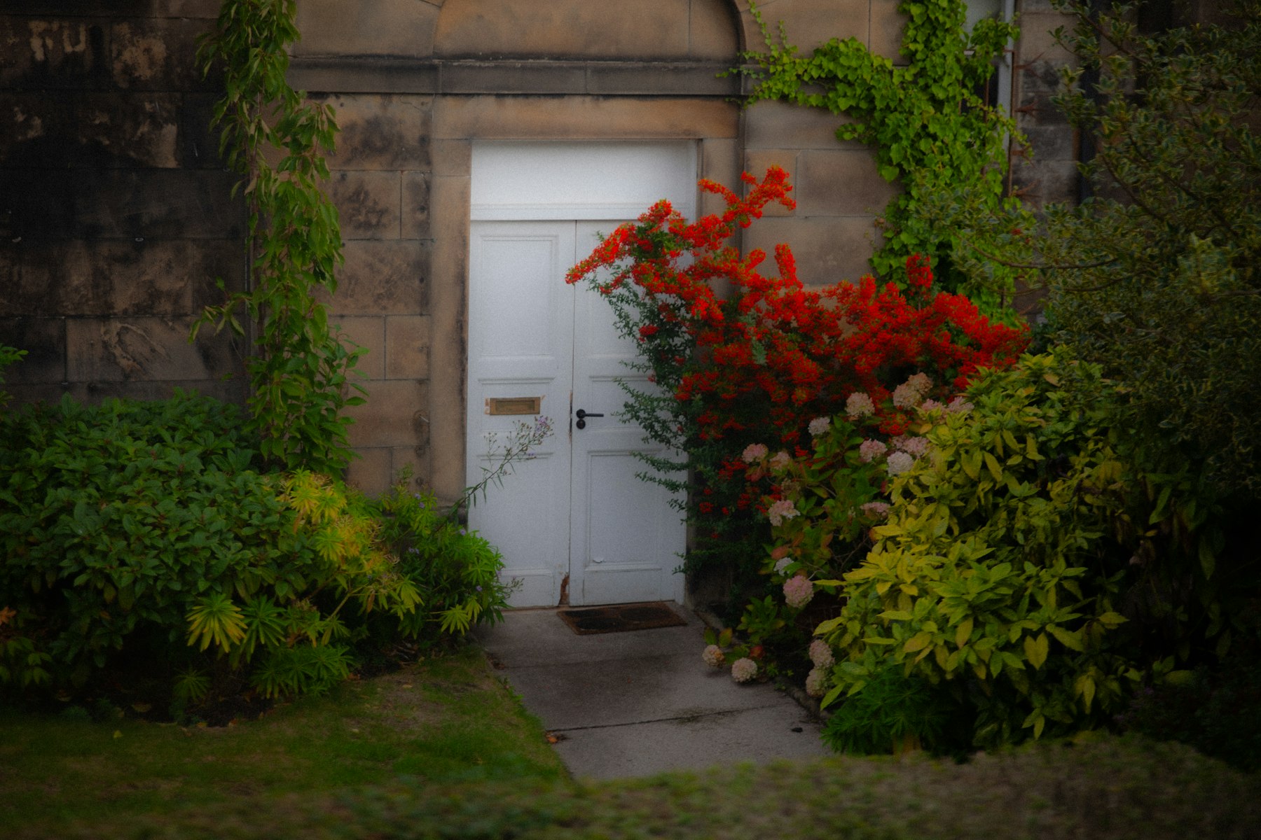 Weiße Haustür in einer Steinfassade, umgeben von grünen Sträuchern und roten Blüten im Vorgarten - Quelle: Unsplash (Lizenz: Unsplash License)